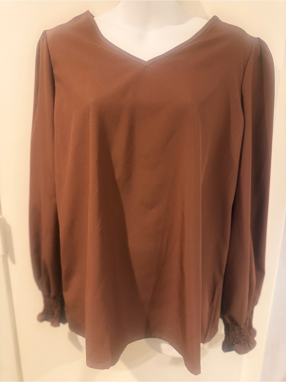 Women's V-Neck  Long Sleeve Fall Blouse - Brown NWOT XL
